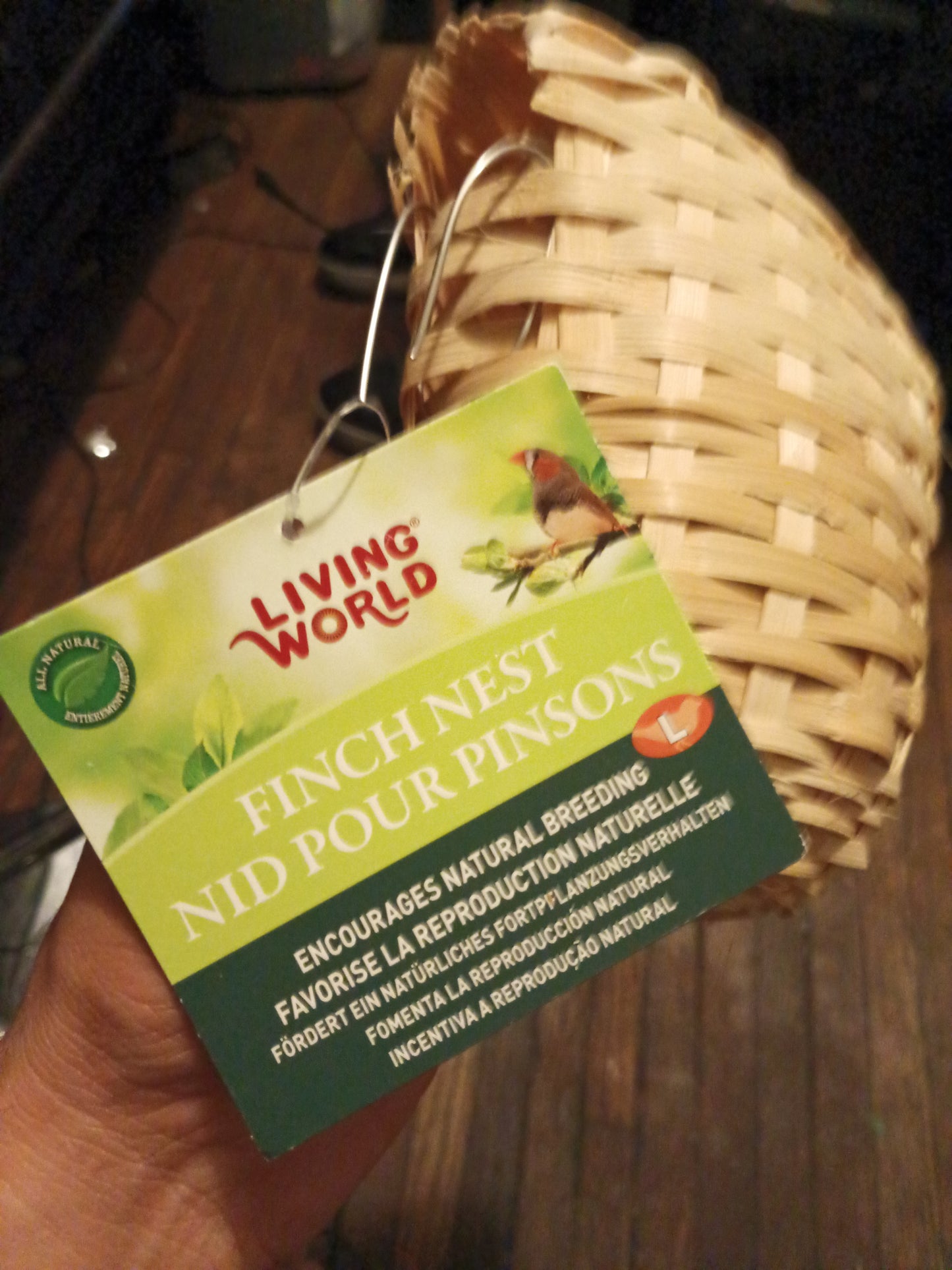 Finch nest